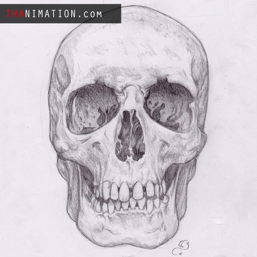 1024x1024 Skull Drawing Pencil For Free Download - Skull Pencil Drawing
