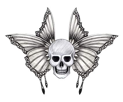 425x355 pencil sketch skull with delicate butterfly wings - Skull Pencil Drawing