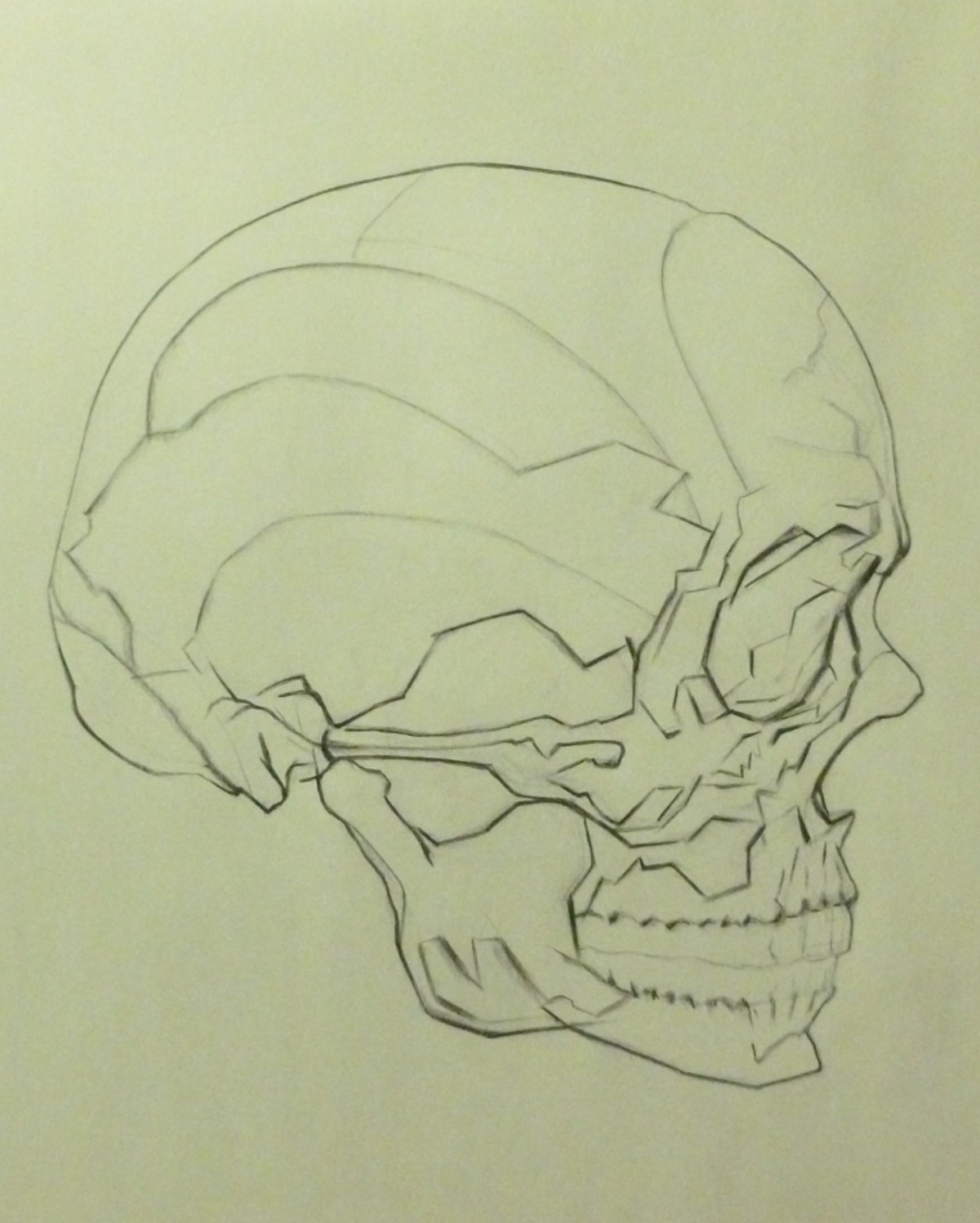 1200x1497 Mildredwilson Art - Skull Profile Drawing