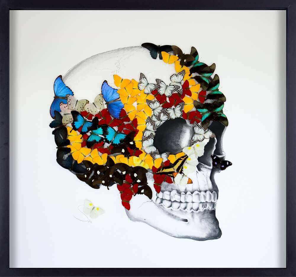 1000x935 Sn Half Full Skull Profile Eden Fine Art Gallery - Skull Profile Drawing