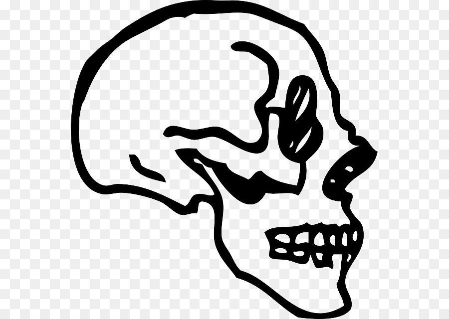 900x640 Skull, Drawing, Black, Transparent Png Image Clipart Free Download - Skull Profile Drawing