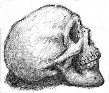 381x326 Stephen Lawson's Drawing On Inspiration Skull Side Profile Sketch - Skull Profile Drawing
