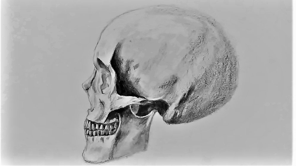 997x561 Adavila On Twitter Profile - Skull Profile Drawing