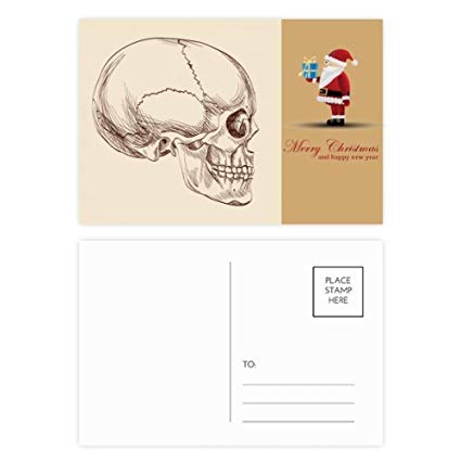 425x425 Human Skull Profile Drawing Santa Claus Postcard Set - Skull Profile Drawing