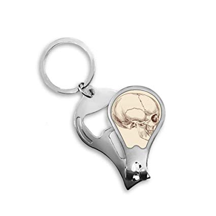 425x425 Human Skull Profile Drawing Toenail Clipper Cutter - Skull Profile Drawing