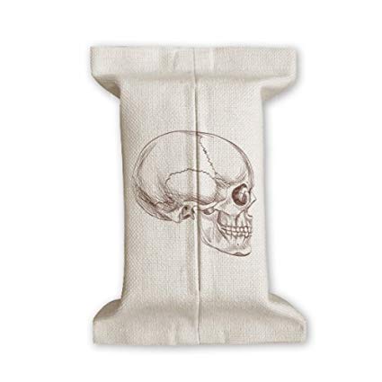 425x425 Diythinker Human Skull Profile Drawing Tissue Paper - Skull Profile Drawing