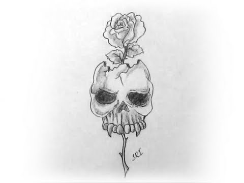480x360 How To Draw A Skull With Rose Pencil Drawing And S Yzarts - Skull Rose Drawing
