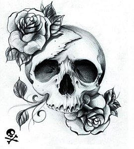 269x300 Skull And Rose Drawings Fine Art America - Skull Rose Drawing