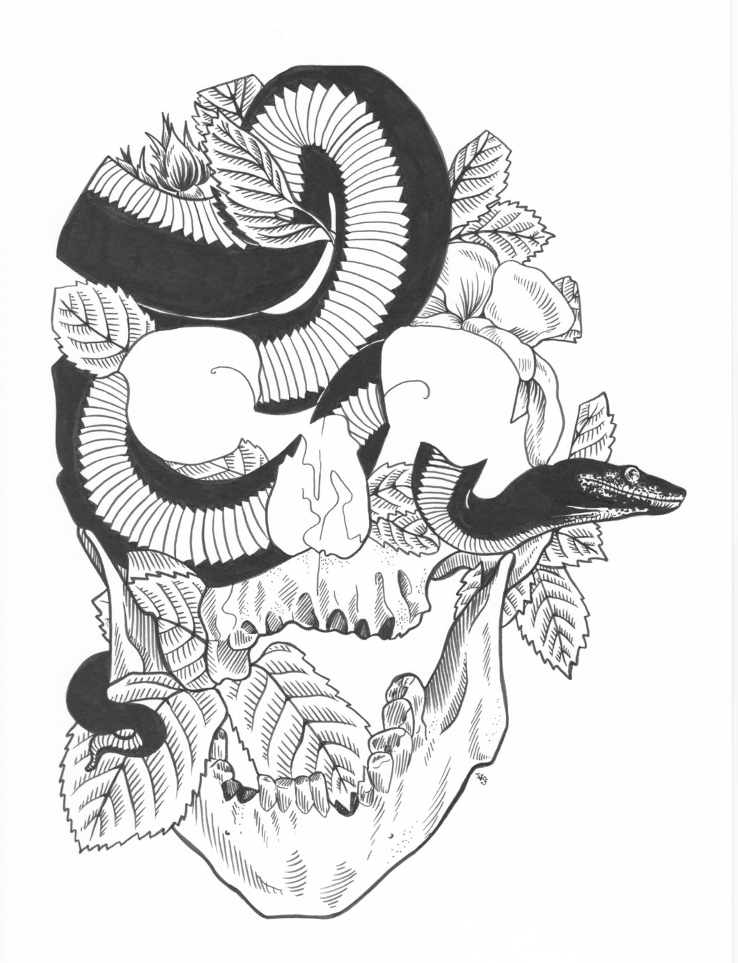 1060x1382 Original Skull + Snake Vsteiner - Skull Snake Drawing