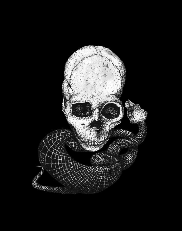 709x900 Skull And Snake Drawing - Skull Snake Drawing
