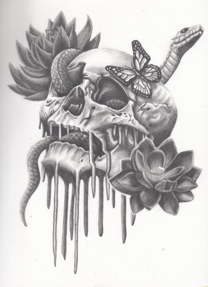 723x1000 Skull Snake And Butterfly Sketches - Skull Snake Drawing