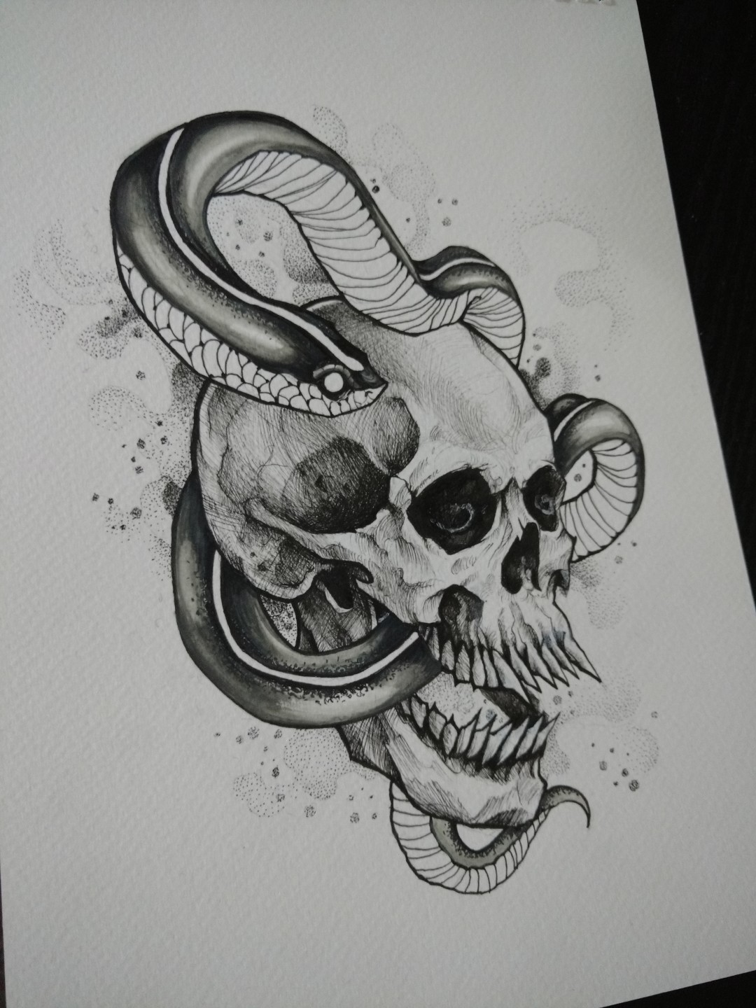 1080x1440 Skull And Snake - Skull Snake Drawing