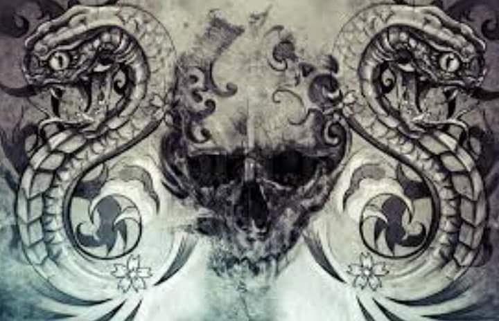 720x464 snakes and a skull drawing - Skull Snake Drawing