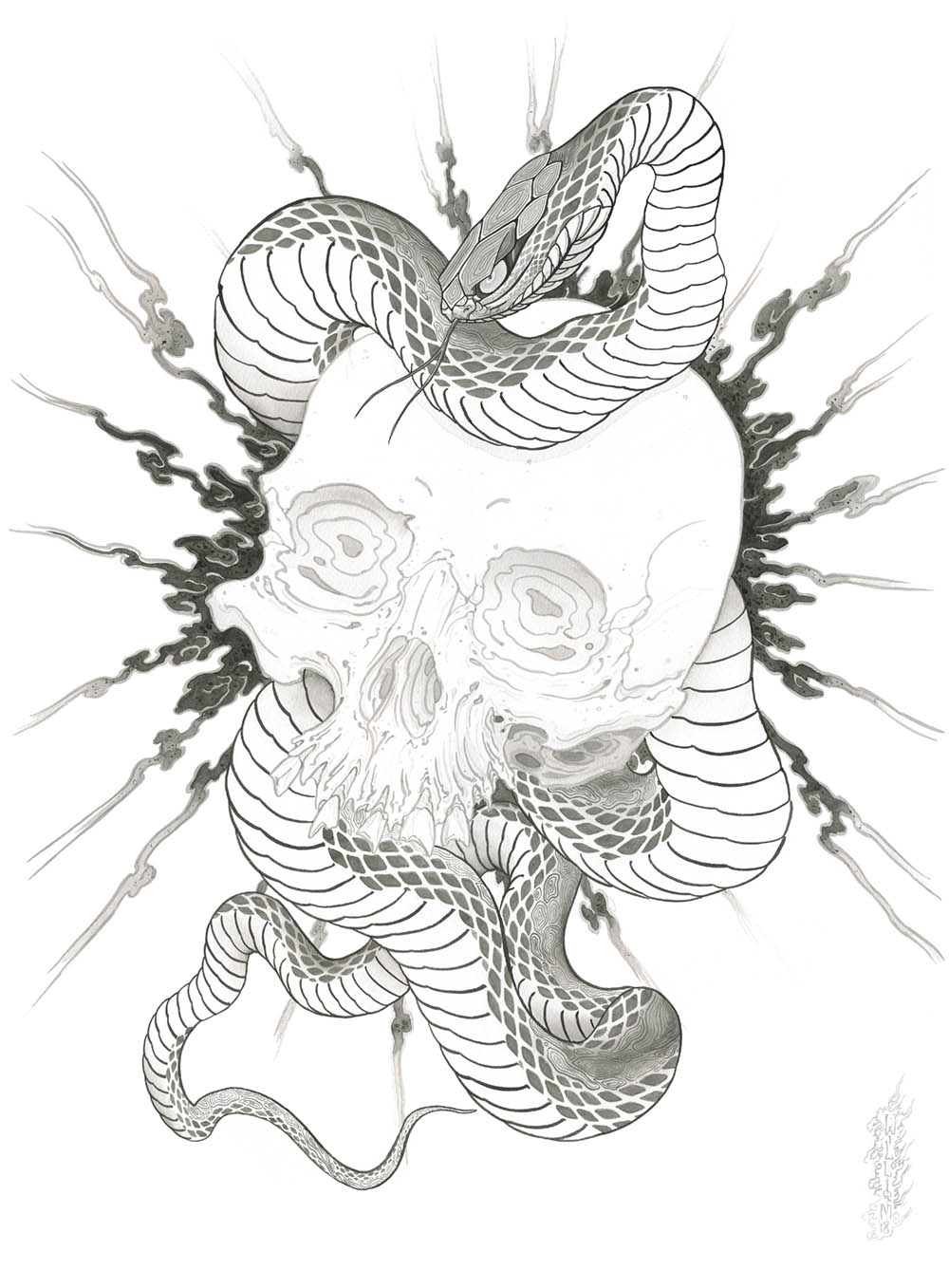 Skull Snake Drawing At Explore Collection Of Skull