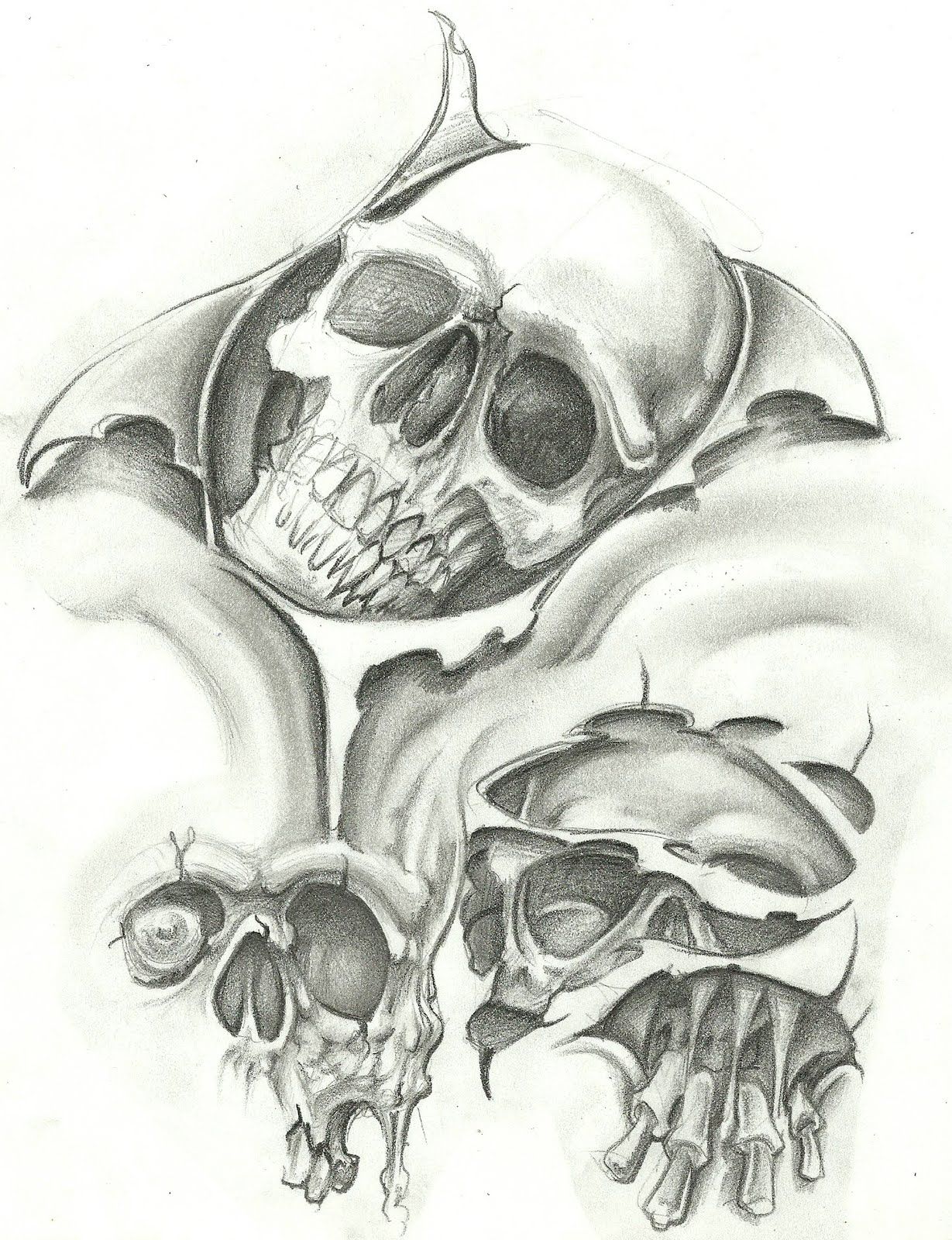 Skull Tattoo Drawings At Explore Collection Of