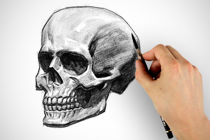 720x480 How To Draw A Skull - Skull Teeth Drawing