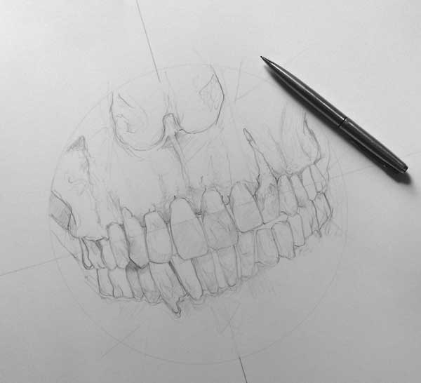 600x546 skull drawings collaboration with santaelle - Skull Teeth Drawing