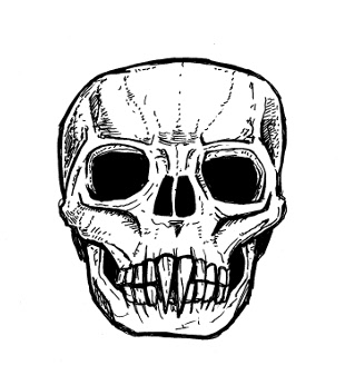 310x346 Skull Drawings - Skull Teeth Drawing
