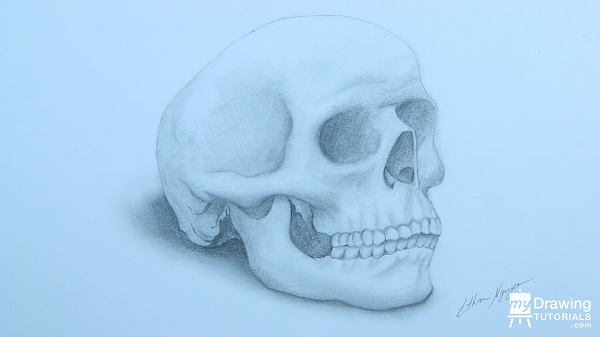 600x337 How To Draw A Skull In View My Drawing Tutorials - Skull Teeth Drawing