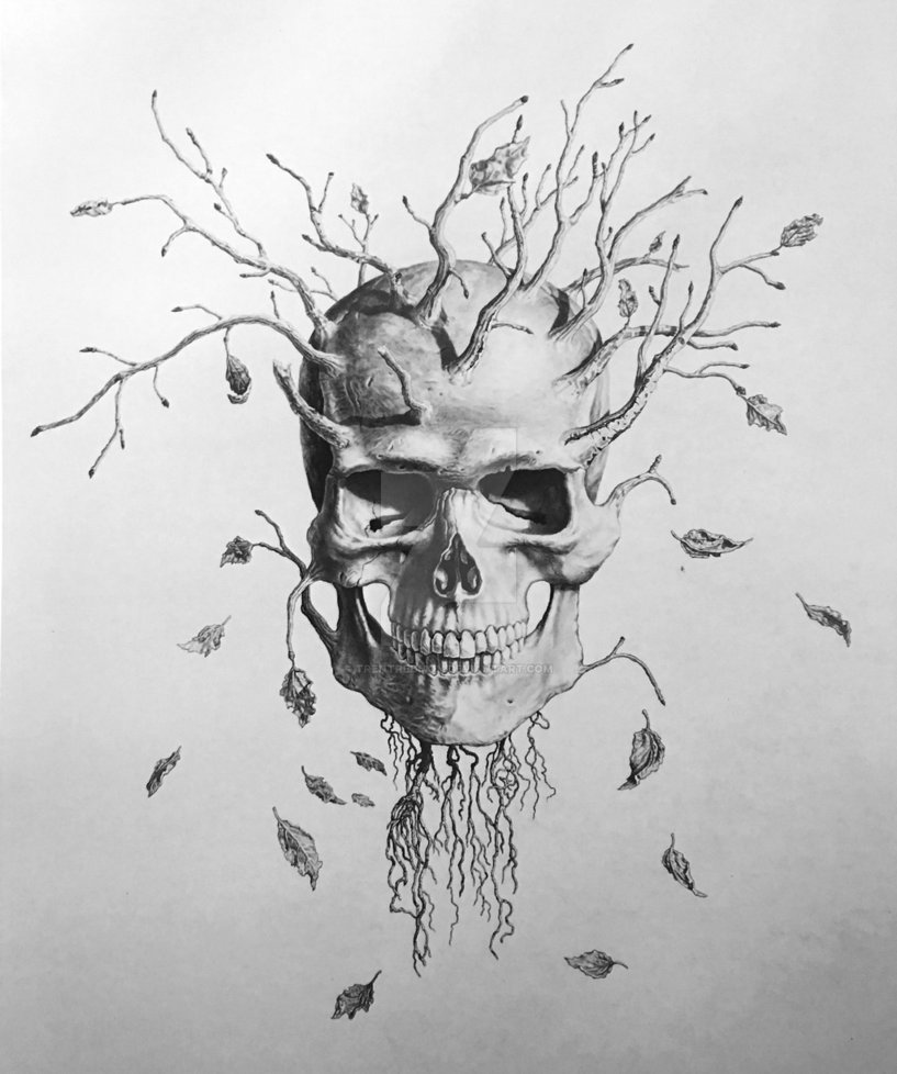 817x978 Tree Skull - Skull Tree Drawing