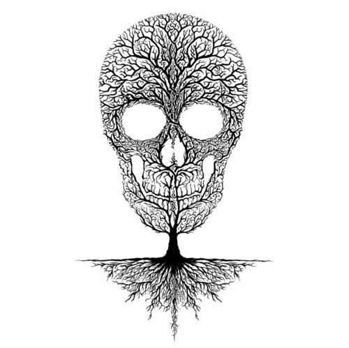 500x499 Drawing, Illustration, Skull, Tree - Skull Tree Drawing