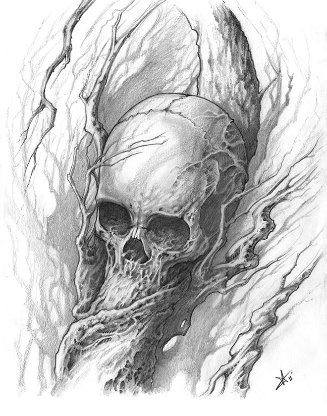 660x840 Skull Tree Sketches - Skull Tree Drawing