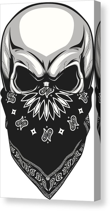 384x734 skull bandana canvas print canvas art - Skull With Bandana Drawing