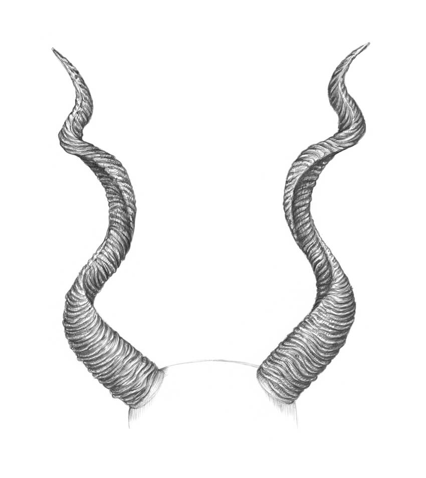 850x954 how to draw horns - Skull With Horns Drawing