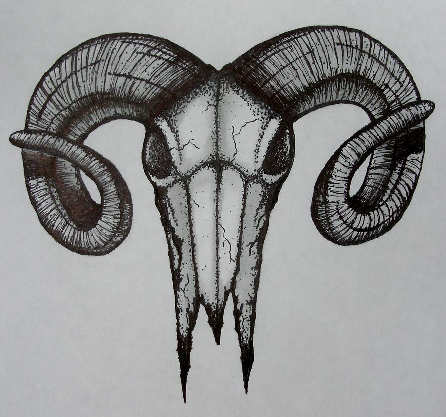 900x840 Ram Skull Drawing - Skull With Horns Drawing. 