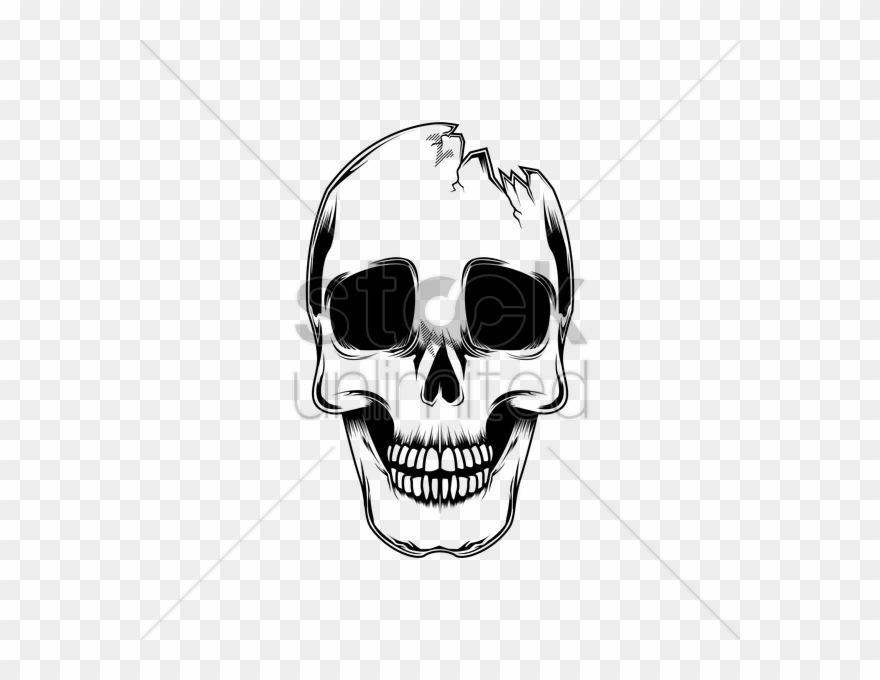 880x680 Skeleton Head Clipart Broken Skull - Skull With Horns Drawing