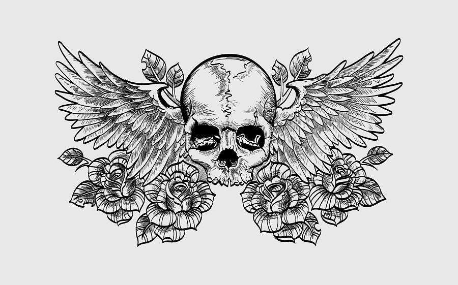900x561 Skull And Wings Drawing - Skull With Wings Drawing