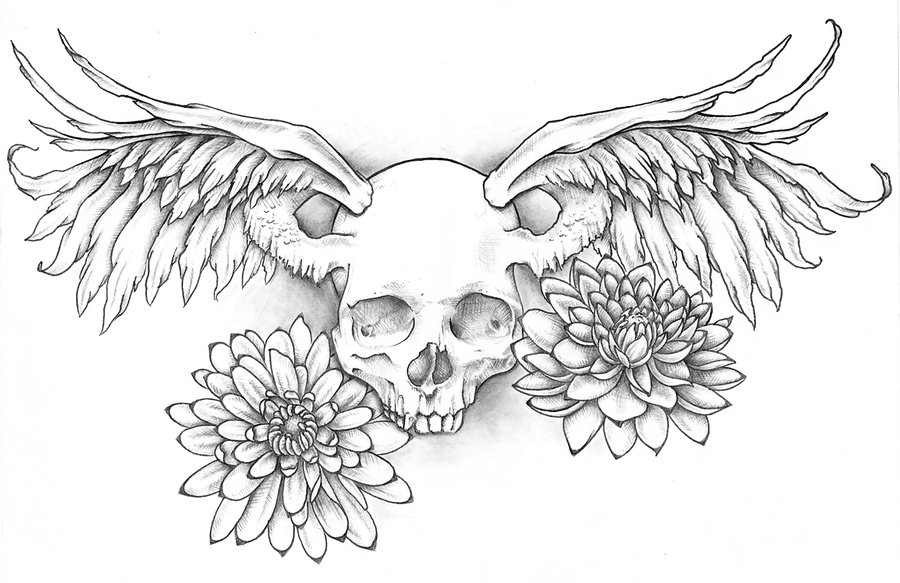 900x583 Drawing Wings Skull For Free Download - Skull With Wings Drawing