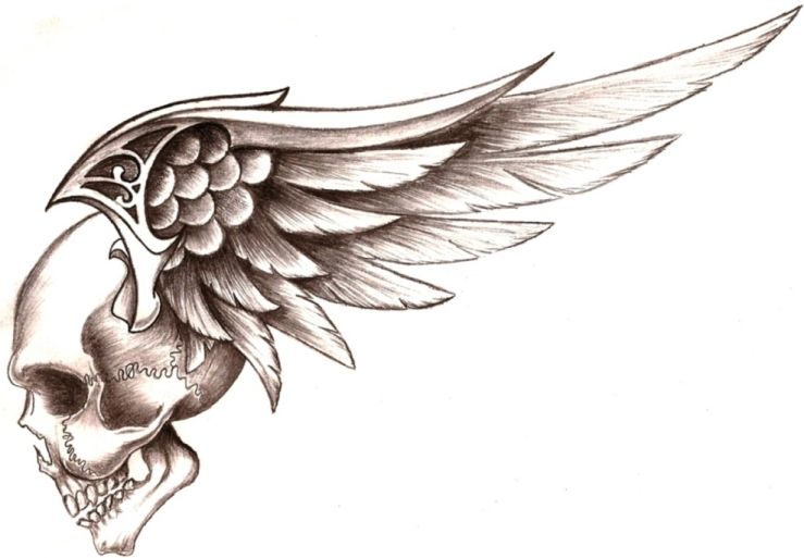 739x513 Skull Wings - Skull With Wings Drawing