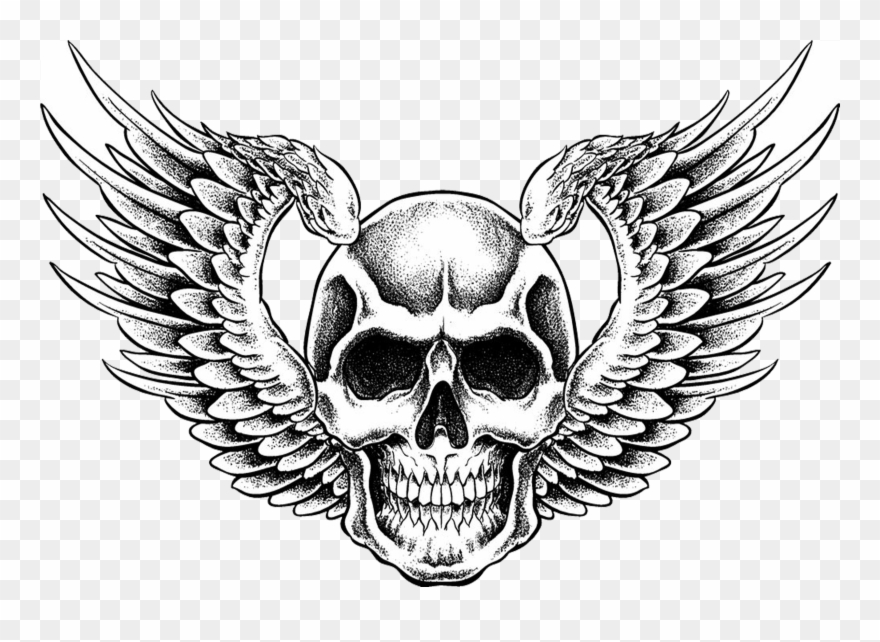 880x642 Full Size Of Easy To Draw Human Skulls Cartoon Skull - Skull With Wings Drawing