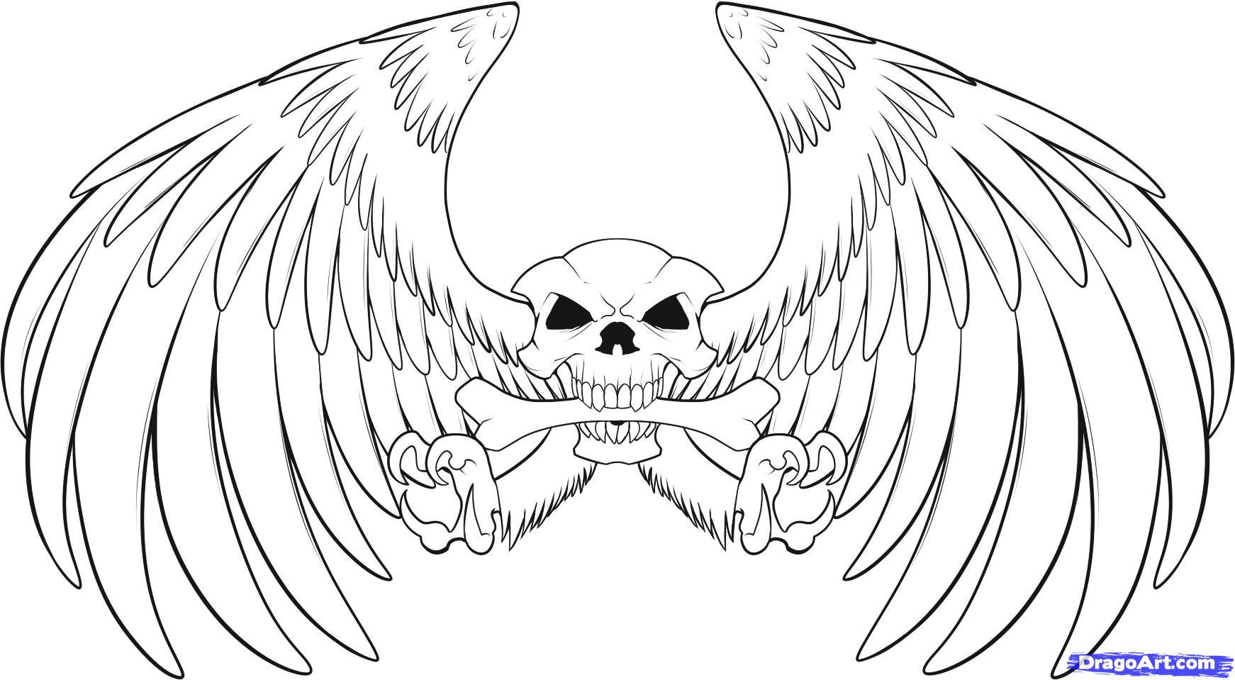 1742x959 How To Draw A Skull With Wings, Step - Skull With Wings Drawing