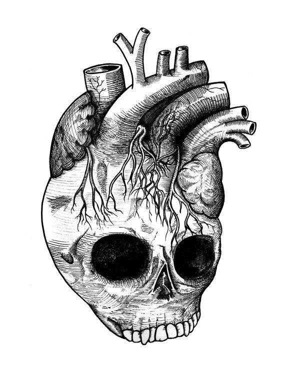 570x738 Skull Drawing Free Download - Skulls And Hearts Drawings