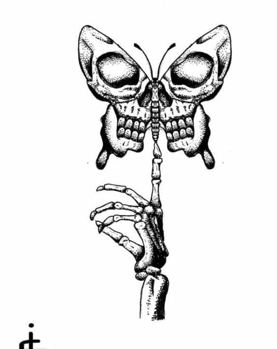 563x709 Butterfly Skull Discovered - Skulls And Hearts Drawings