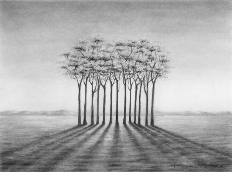 800x595 Sunrise - Sky Drawing Pencil