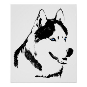 307x307 Husky Sled Dog Puppy Art Wall Zazzle - Sled Dog Drawing