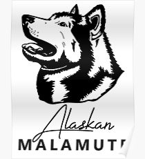 210x230 Alaskan Sled Dog Drawing Posters Redbubble - Sled Dog Drawing