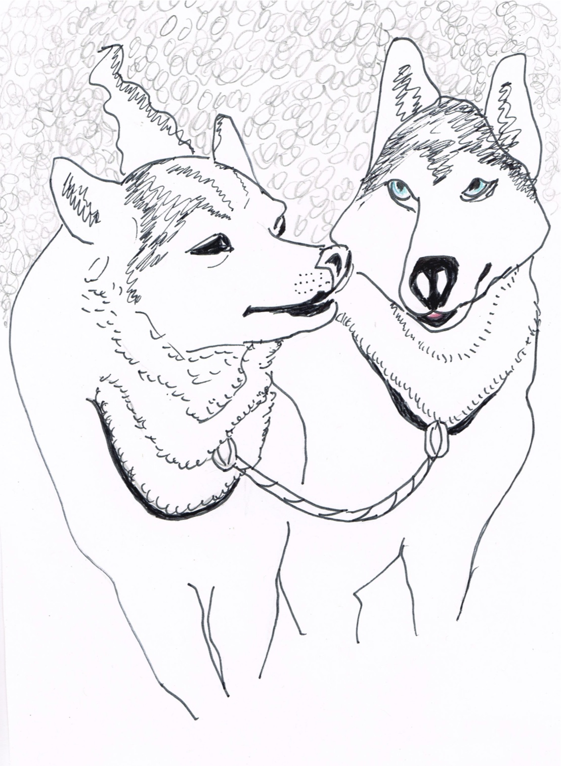 1109x1514 Dog Drawing Hung, Drawn And Cultured - Sled Dog Drawing