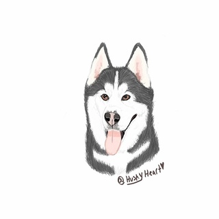 320x320 Sleddog Drawings On Paigeeworld Pictures Of Sleddog - Sled Dog Drawing