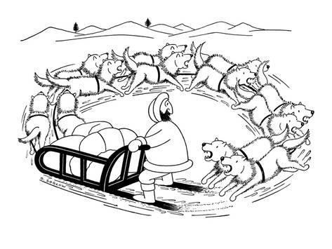 473x355 Eskimo On Dog Sled The Dogs Are Running Around In A Circle - Sled Drawing