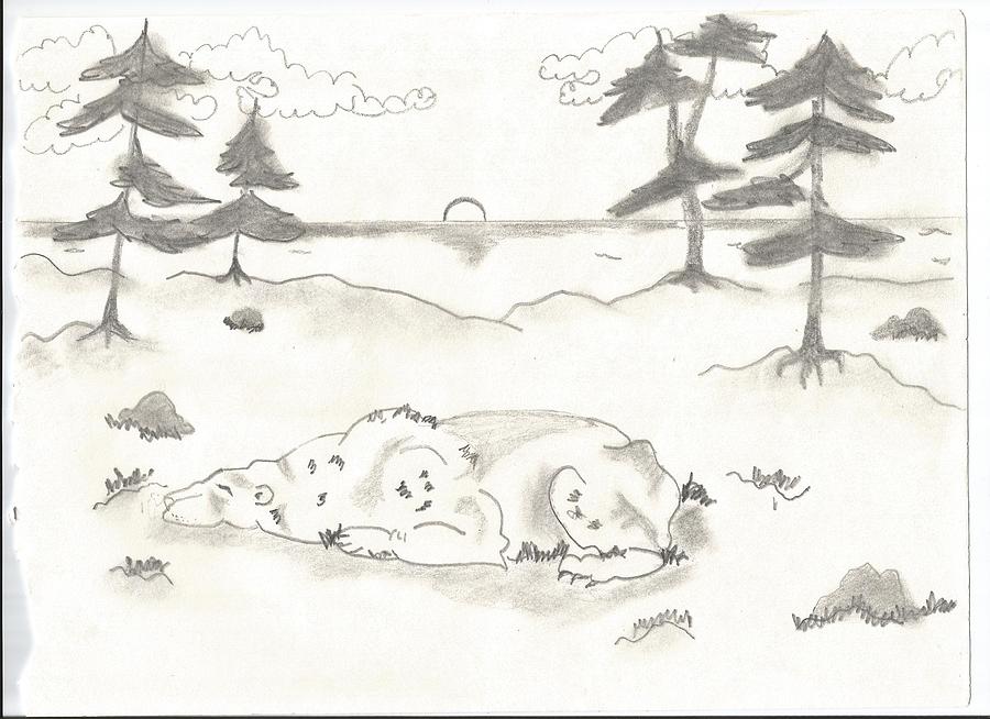 900x654 Sleeping Bear Drawing - Sleeping Bear Drawing