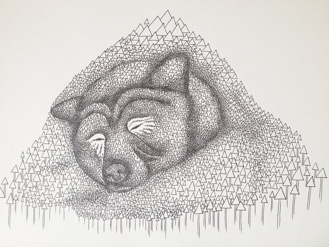 654x491 Sleeping Bear Illustration - Sleeping Bear Drawing