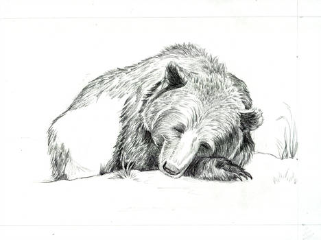 468x350 sleeping bear wip - Sleeping Bear Drawing