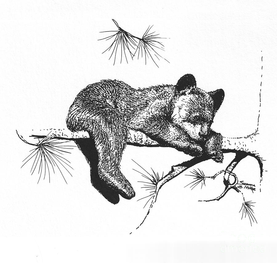 900x852 Little Black Bear Cub Drawing - Sleeping Bear Drawing