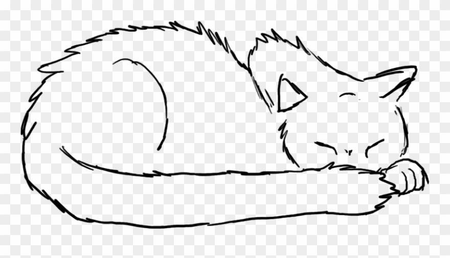 880x505 Sleeping Cat Drawing - Sleeping Cat Drawing