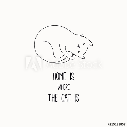 500x500 Hand Drawn Black And White Vector Illustration Of A Cute Funny - Sleeping Cat Line Drawing