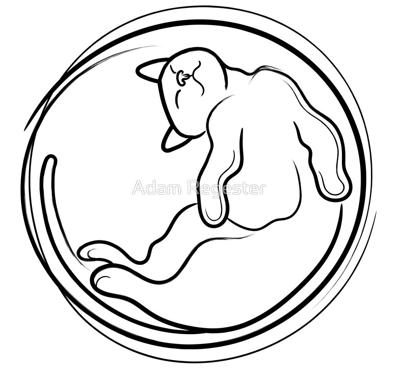 800x753 Sleeping Cat Line Drawing - Sleeping Cat Line Drawing